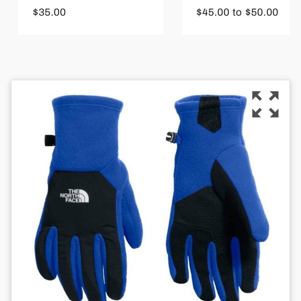 FREE North Face Denali Men’s Winter Gloves